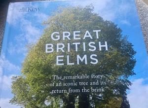 Great British Elms
